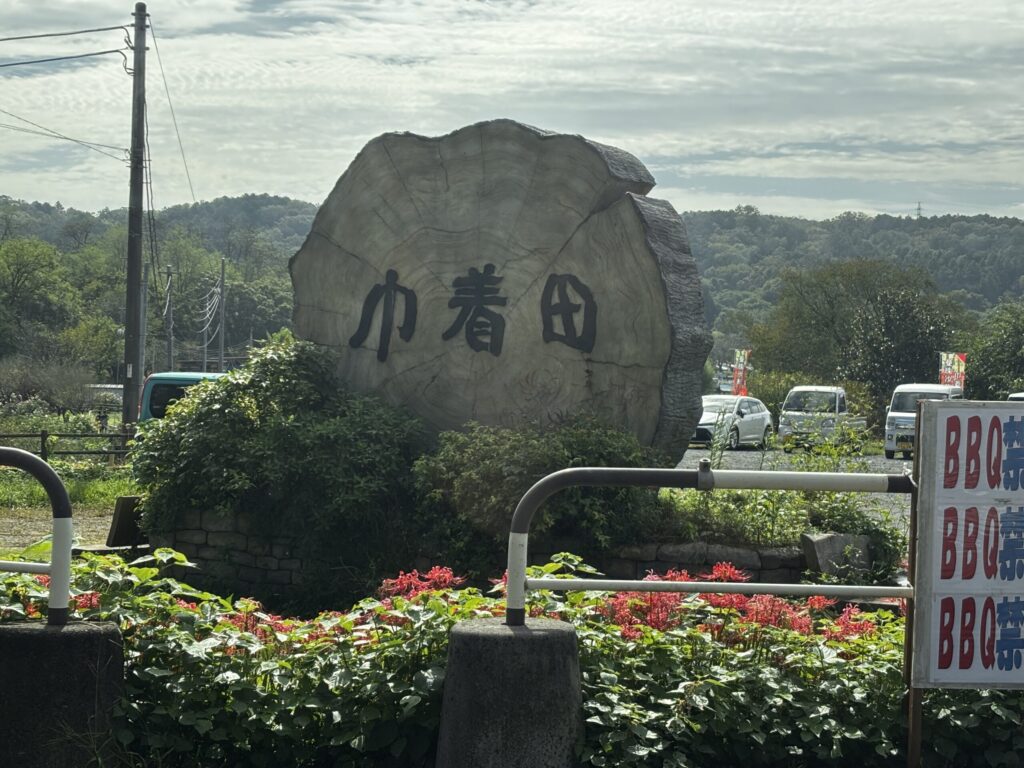 巾着田曼珠沙華まつり