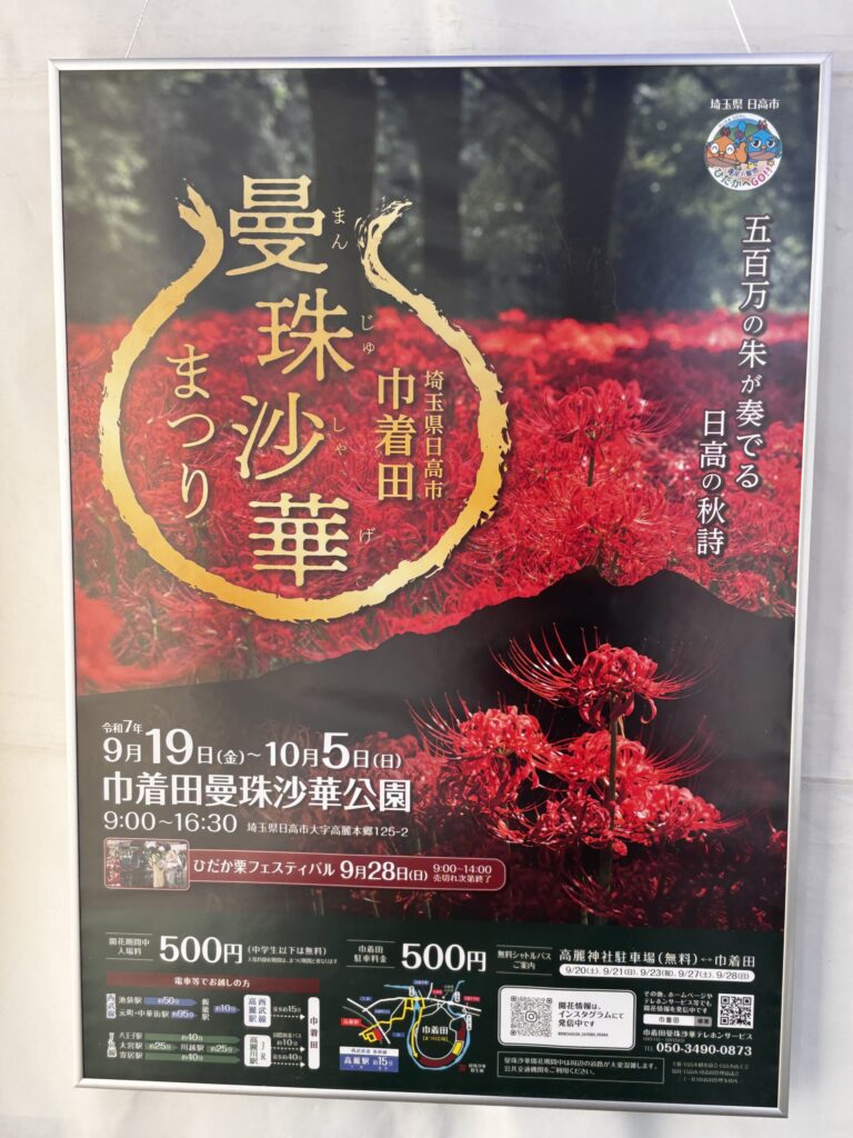 巾着田曼珠沙華まつり